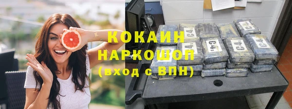 спиды Богданович