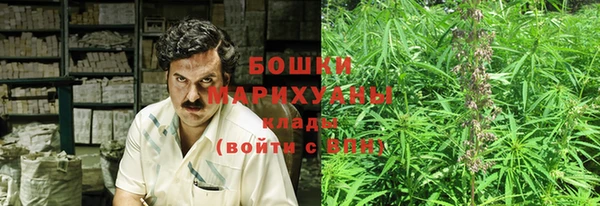 молекула духа Осташков