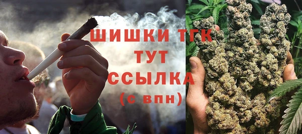 спиды Богданович