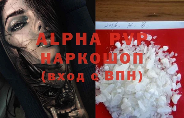 молекула духа Осташков