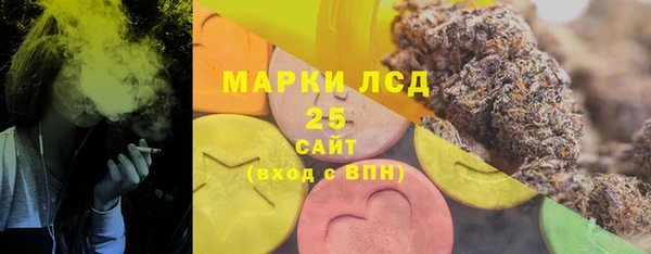 сатива Беломорск